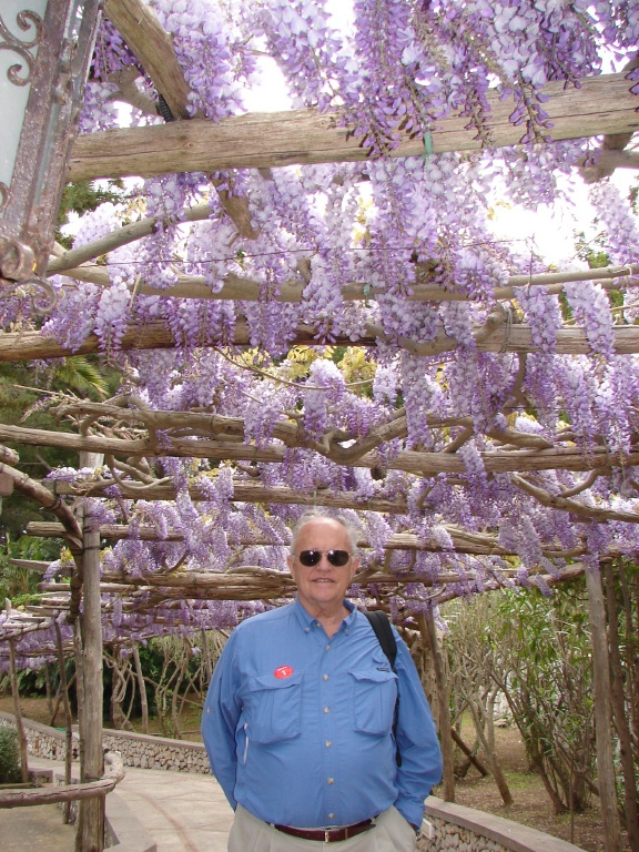 Wisteria Lane Isle of Capri.jpg